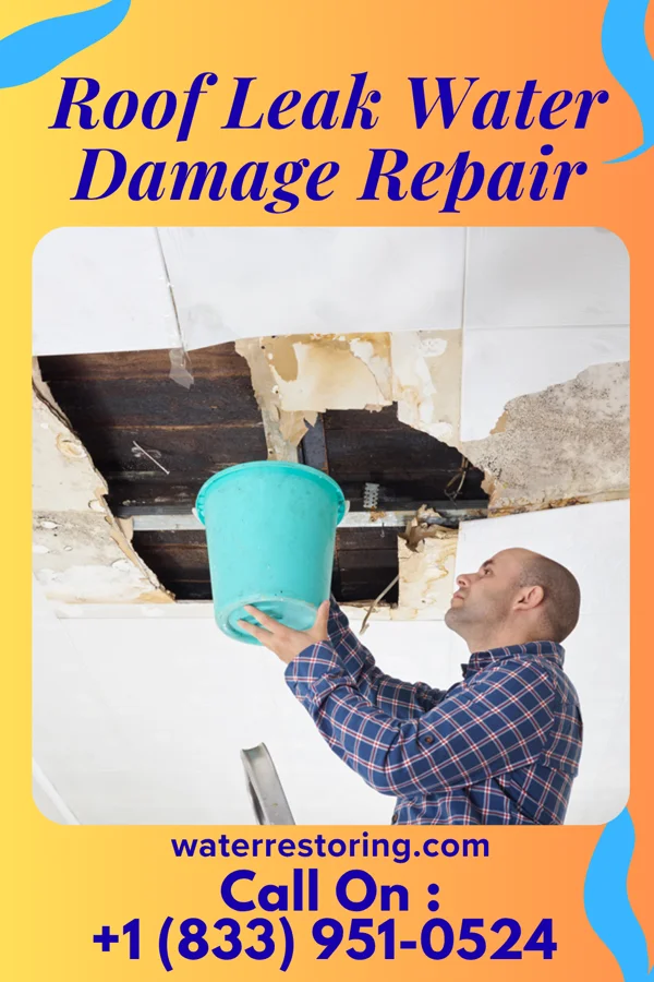 Roof Leak Water Damage Repair in Dayville, OR